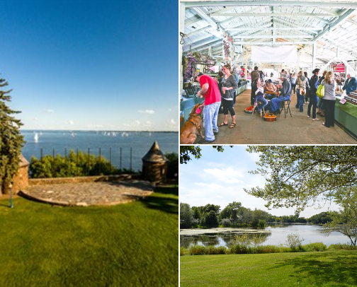 Best places to visit in Duluth, Minnesota! cover photo collage