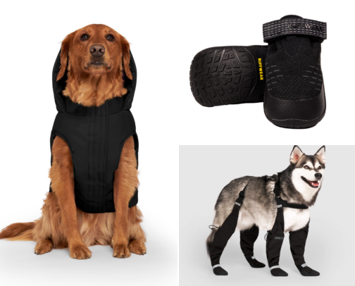 Dog Essentials - Fall Winter Edition cover photo collage