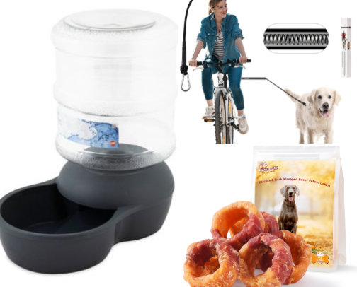 Dog Supplies cover photo collage
