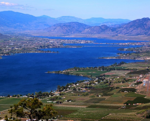 The Okanagan Valley cover photo collage