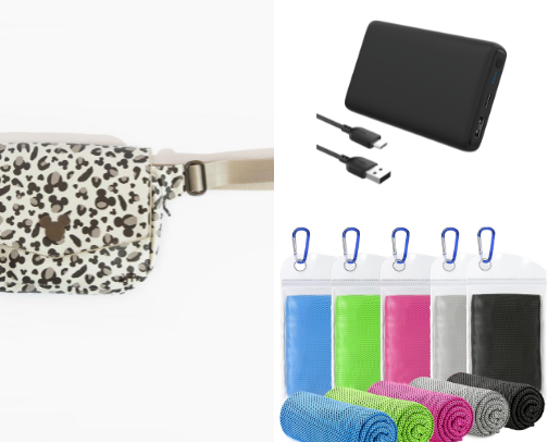 Disney World Must Haves cover photo collage