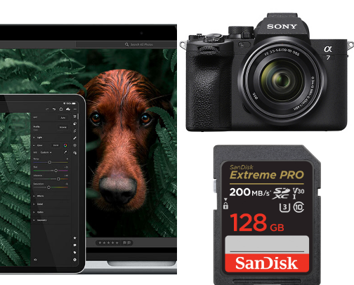 Photography Gear I Use cover photo collage