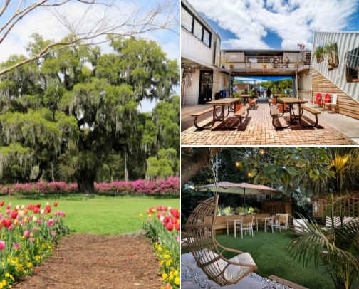My top Wilmington recs cover photo collage