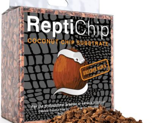 Must-Haves for Owning Snakes cover photo collage