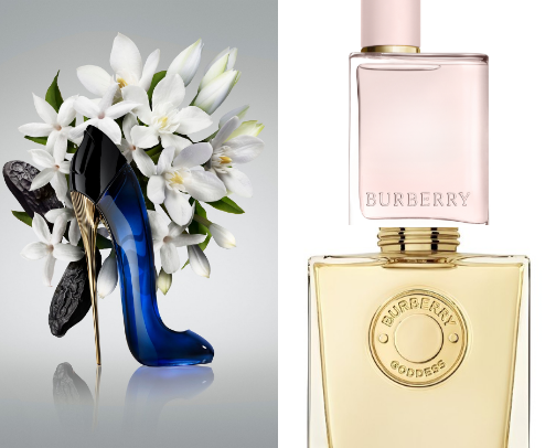 Scents that turn heads literally cover photo collage
