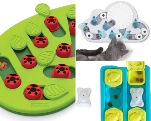 Indoor-Cat Playtime for Busy Cat Moms cover photo collage