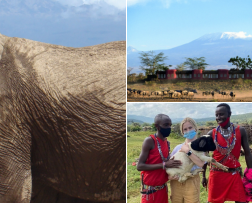 Kenya Travel Recommendations cover photo collage