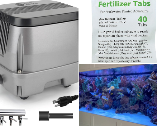 Relaxing Fish Aquarium Setup for Home or Office cover photo collage