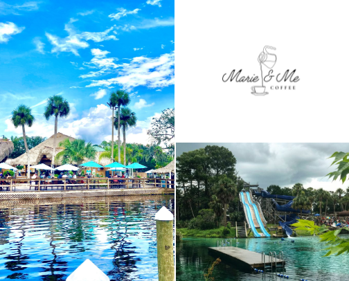 Visit Weeki Wachee. The Mermaid town! cover photo collage
