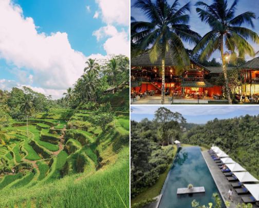 Bali Indonesia Travel Guide: The Ultimate Bucket List for an Unforgettable Trip cover photo collage