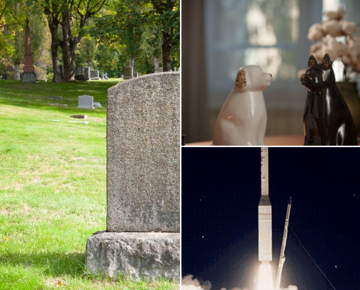 10+ Creative Things to Do with Cremated Ashes cover photo collage