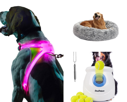 Adventures with My Pitties cover photo collage