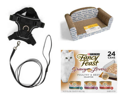 Are you a cat parent or new to cat life? Here are the must-haves to keep your fur baby happy, healthy & comfy! 🐱 cover photo collage