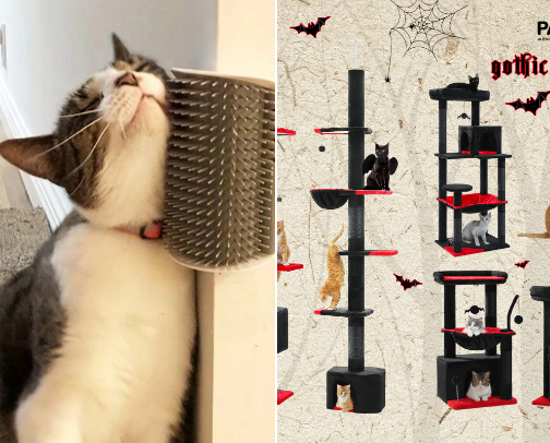 Gifts for Cat Parents and their Cats cover photo collage