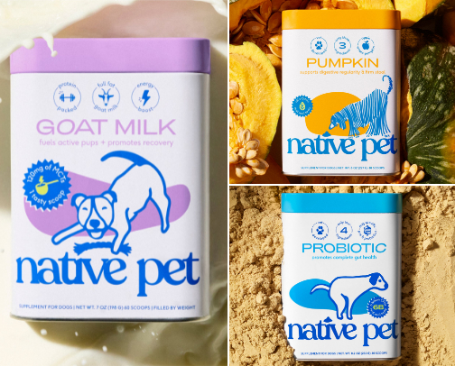 ice cubes for your dog cover photo collage