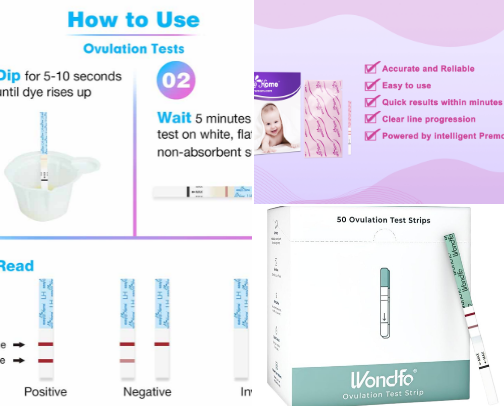 TTC - Fertility Essentials cover photo collage