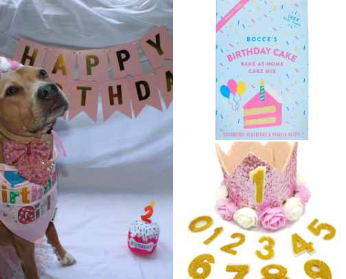 The Ultimate Dog Birthday Essentials Checklist cover photo collage