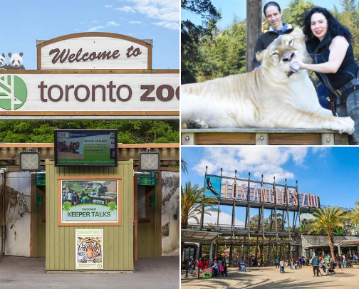 Where the Wild things Are (and worth it) cover photo collage