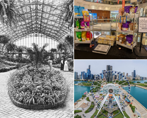 Things to do in Chicago❄️ cover photo collage