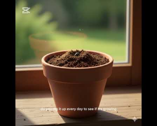 YouTube channel I recommend cover photo collage