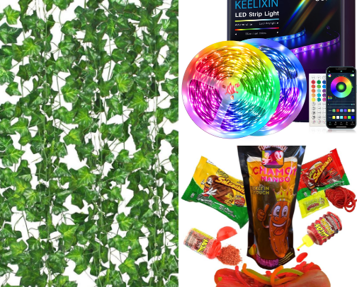 Things that went viral on Tic Tok. These things went viral for a reason! cover photo collage