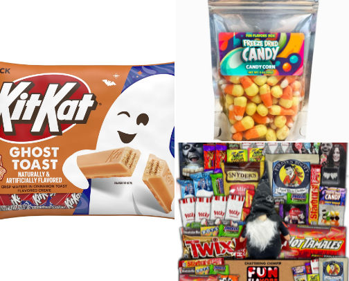 Best Ever: Halloween Snacks, Costumes and Decorations! cover photo collage