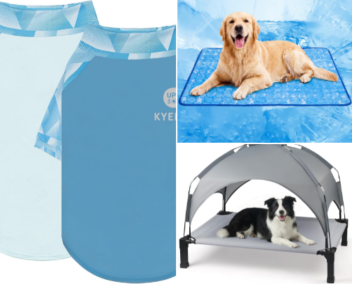 Deebo's Sunshine Essentials cover photo collage