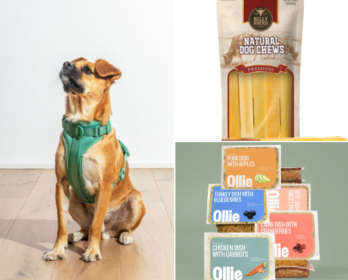 Pet Must-Haves cover photo collage