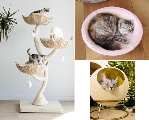 The Throne Room: Luxury Beds & Napping Spots cover photo collage