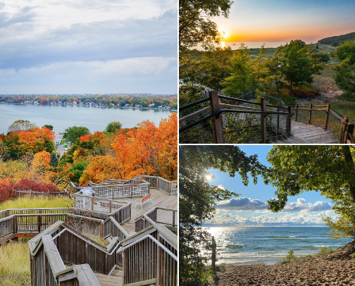 Nature and Nurture cover photo collage