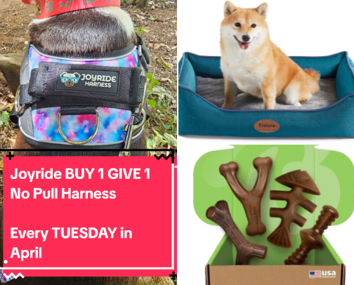 Foster and Rescue Items cover photo collage