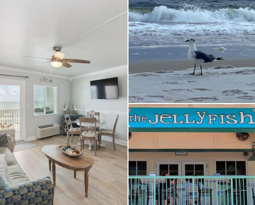 Perdido Key, Florida! cover photo collage