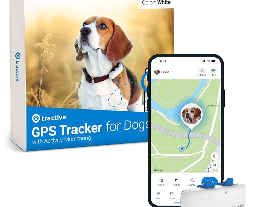 SMART DOG COLLAR cover photo collage