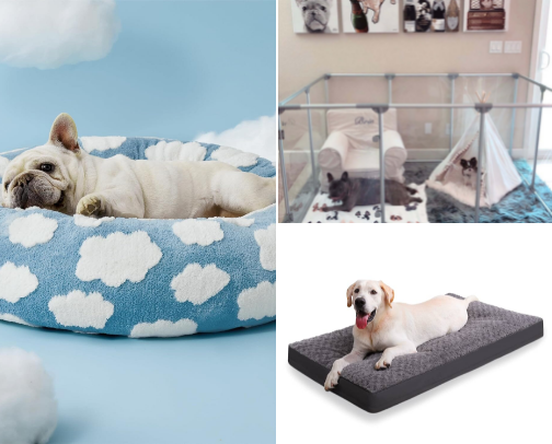 The Best Dog Beds You Can Find! cover photo collage