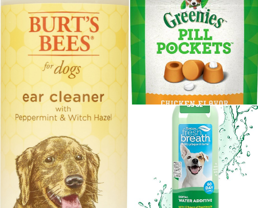 Daily Pet Care Must-Haves from Chewy!! cover photo collage