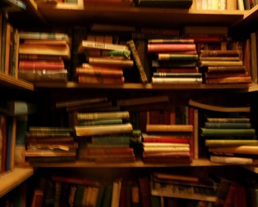 Books you will love cover photo collage