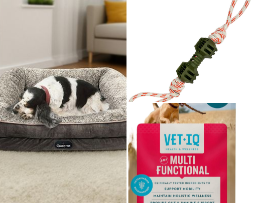 Dog necessities cover photo collage
