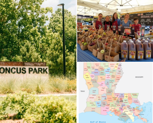 If You’re Looking For A True Cajun Experience in Lafayette cover photo collage