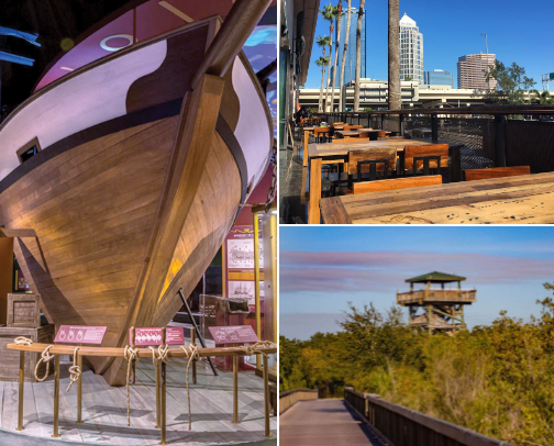 Tampa Bay recs from a local. cover photo collage