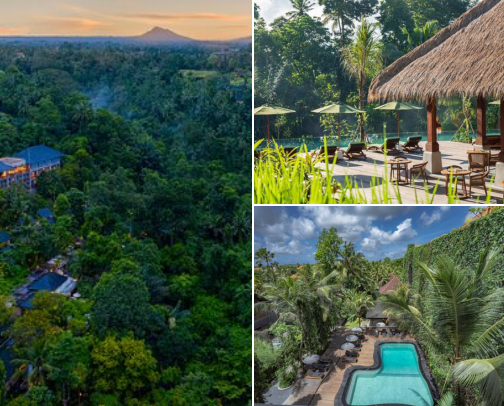 Bali Hotels
and Places to Stay cover photo collage