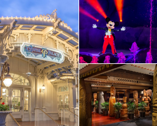 Attention Disney Adults! cover photo collage
