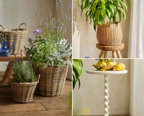 ​Aesthetic Home Favorites cover photo collage