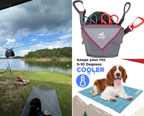 camping with dogs- making it easy cover photo collage
