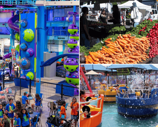 AMAZING PARK cover photo collage