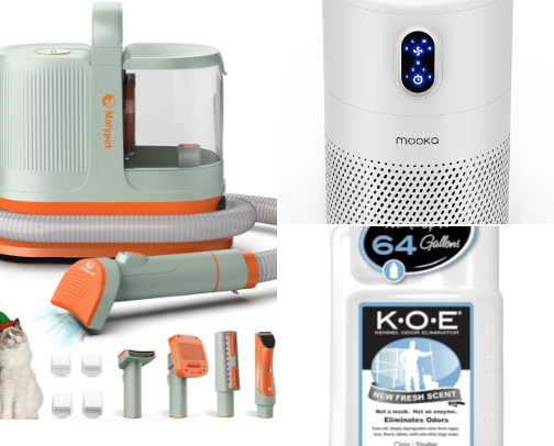 Necessities for cleaning a dog friendly house cover photo collage