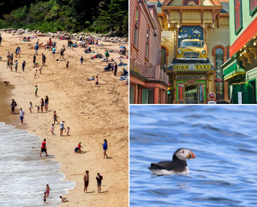 Best in Bar Harbor and Acadia National Park! cover photo collage