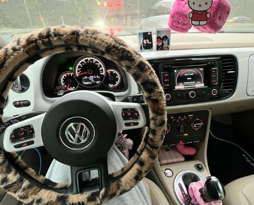 2026 Car Decor cover photo collage