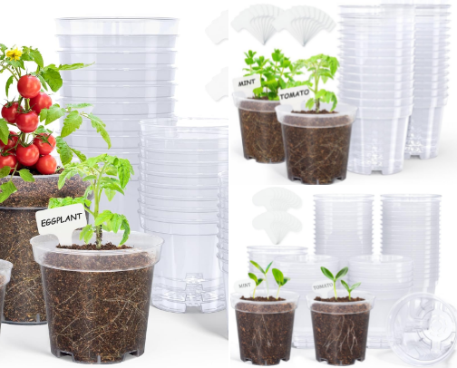 PUP CUPS cover photo collage