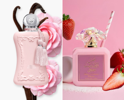 Night Out perfumes (Sexy Edition💃🏽) cover photo collage