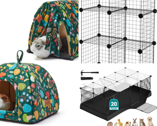 Guinea pigssss cover photo collage